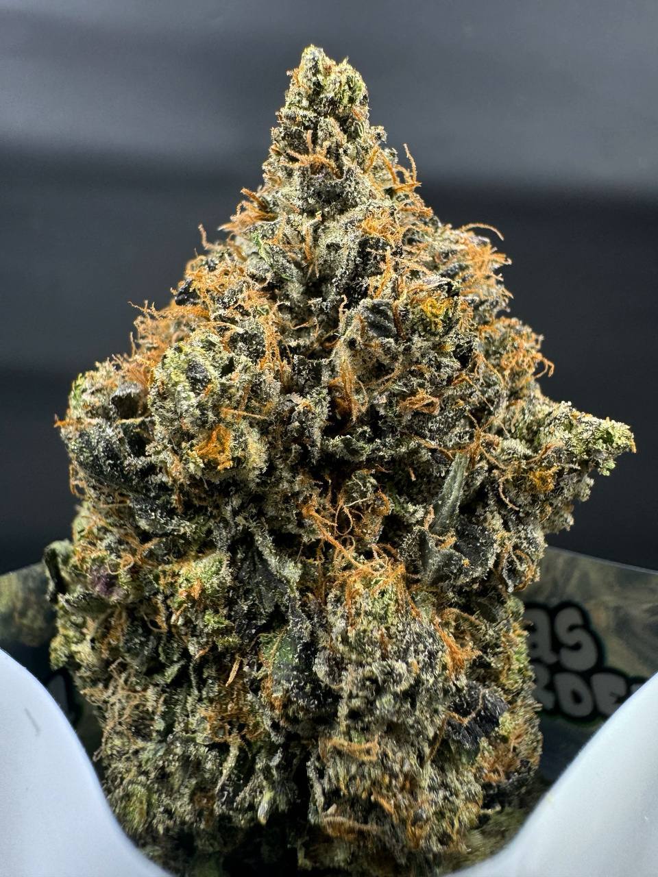 Kandy KaneZ 🍬 - Image 1