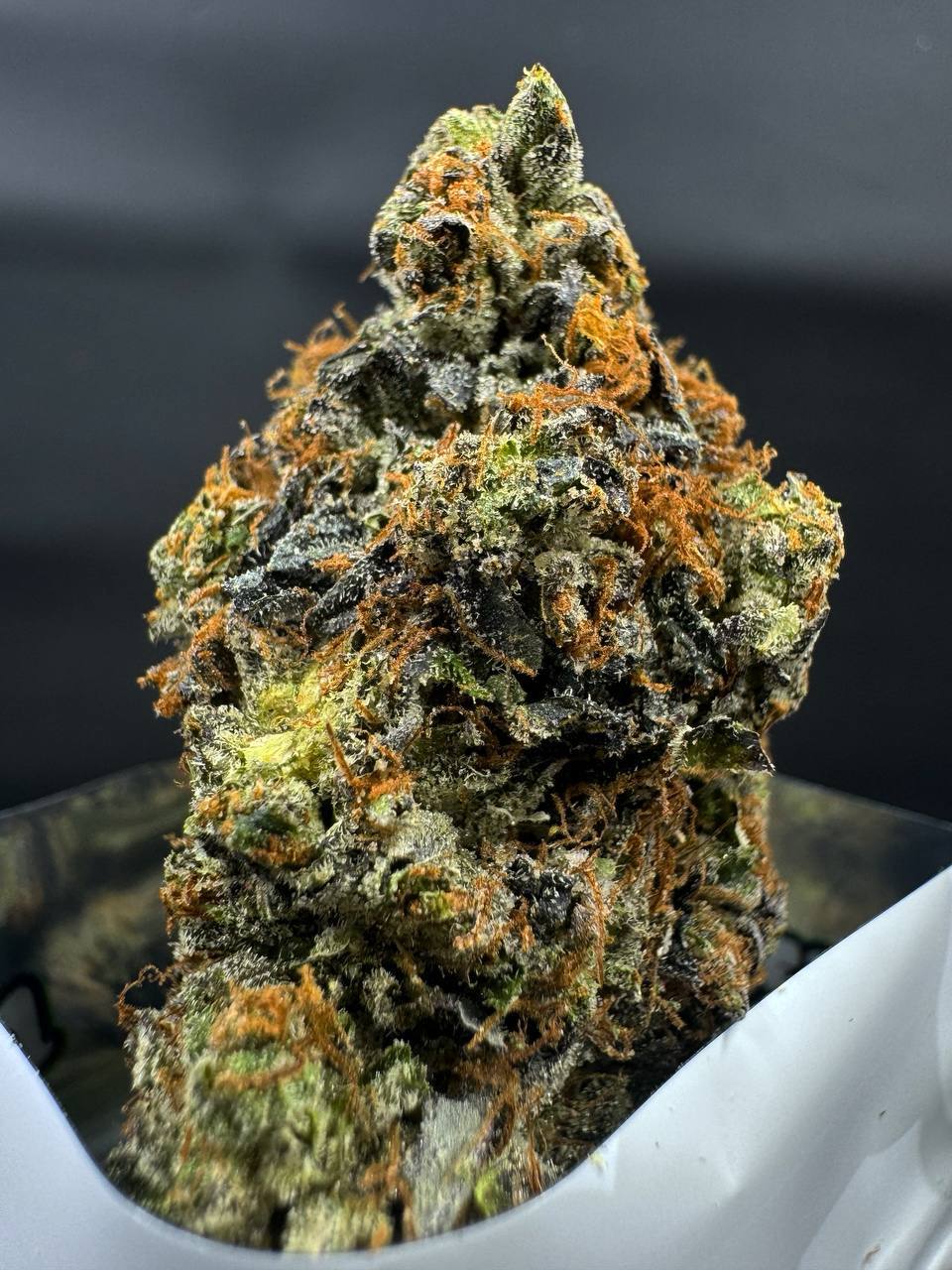 Gas Line ⛽️
