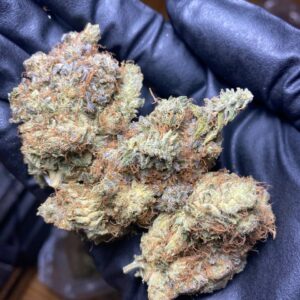 Pink Bubba ๐งโโ๏ธ