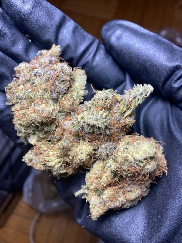 Pink Bubba 🧟‍♂️