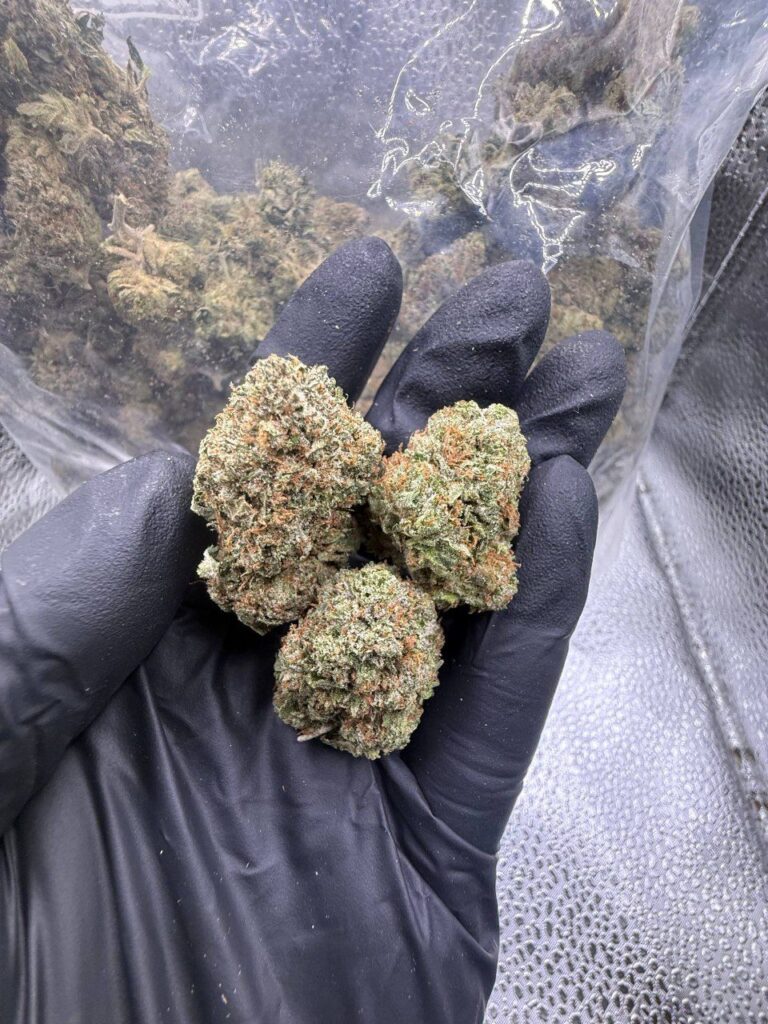 Pink Galactics