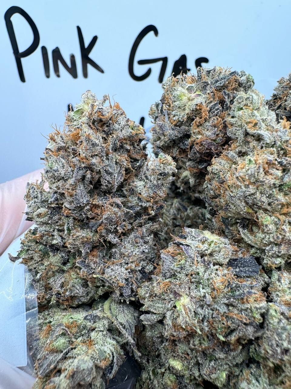 PINK GAS MASK